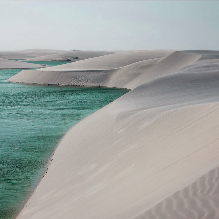 River in the Desert