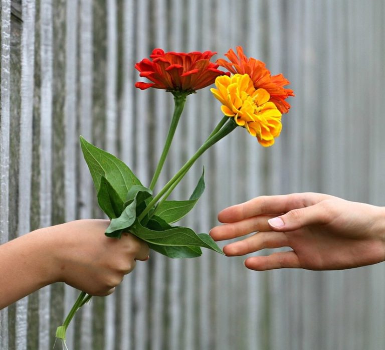 By The Comfort You Have Received, Give!