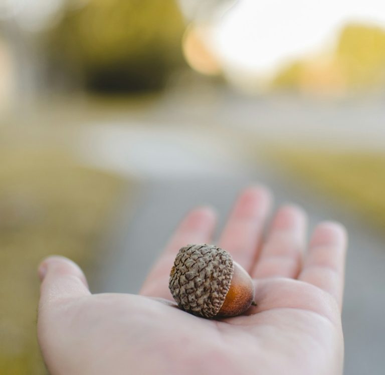 Rewarder Of All, But Not Without Faith.