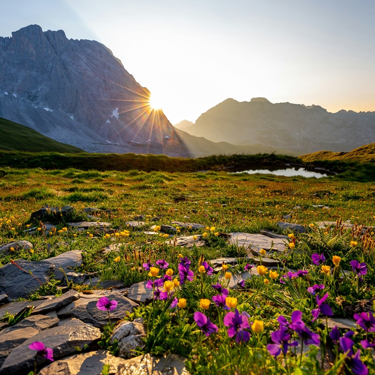 Come! Behold The Beauty Of The Lord.